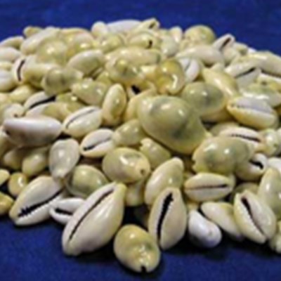 Jewellery Jewellery